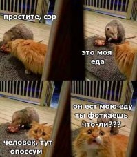 Дети три дня спали в одной комнате с диким животным