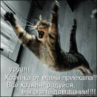 Скрины из социальных сетей