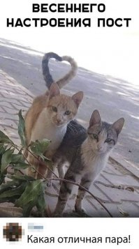 Внимание: чрезмерно хвостатый пост!