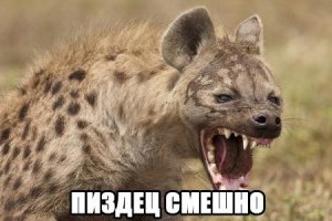 20 комиксов от художника из Новосибирска, чей ход мысли предугадать практически невозможно