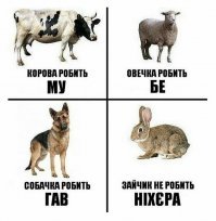 Э нет, зайчик робит, та ышо как робит!