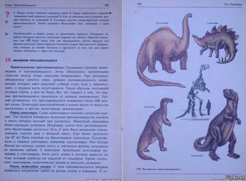 Олды тут , я динозавров на картинке в книге впервые увидел в учебнике :