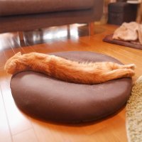 Только сейчас заметил, что фото напоминает большой кофейное зерно =) =) =)