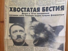 А кот тоже зигует?