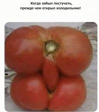 Вот еще чудо с огорода.