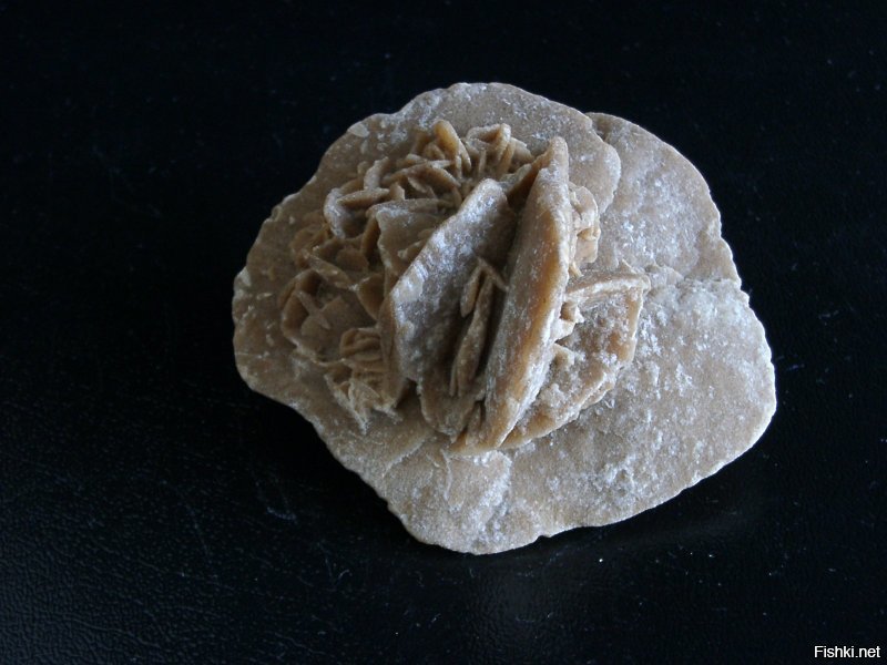 "Роза пустыни"  Каменное образование естественного происхождения.
Привезена из Египта.