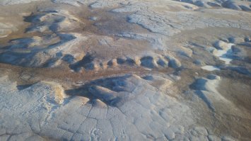 вот не уверен, что ваши фото с ямала.
лес там есть ближе к большой земле, в районе Воркуты. по другую сторону не был.
как там выживают бедные "жители крайнего севера".
от правительства им делают "подарки" - разбрасывают бревна по тундре, так как растет там только мелкая трава, жечь нечего, греться нечем