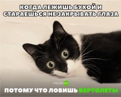 Картинки с надписями