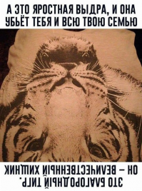 Прикольные и смешные картинки