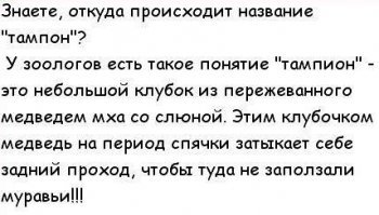 20+ нетривиальных способов применения тампона для настоящих мужчин