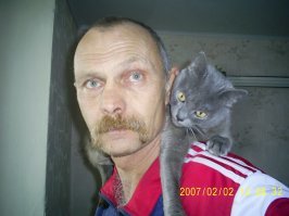 Мужчины и кошки: вместе они просто очаровательны!