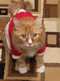 И мой чудик ;)