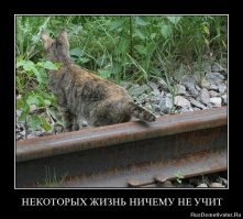 Кубики на сегодня и на завтра