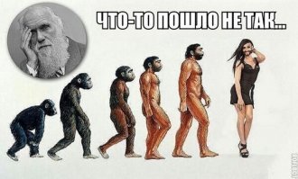Прирождённые убийцы: Станислав Дробышевский опровергает «школьные» мифы о первобытных людях
