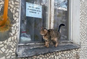 20 табличек, которые не уберегают от опасности, но зато веселят