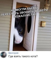 И чем его потом кормить...