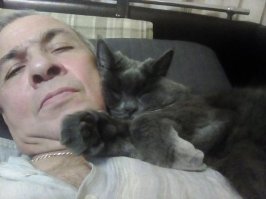 Мужчины и кошки: вместе они просто очаровательны!