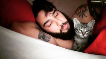 Мой сын и его коты))