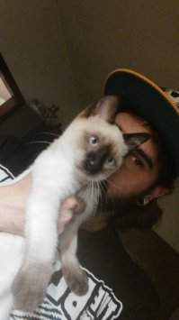 Мой сын и его коты))