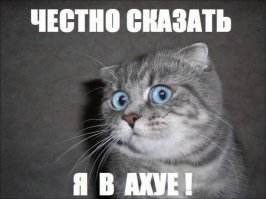 Краткая история человечества