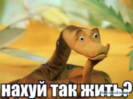 Прикольные и смешные картинки