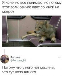 Прикольные и смешные картинки