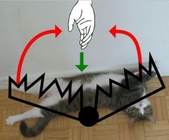 Прикольные и смешные картинки