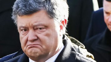 Прикольные и смешные картинки