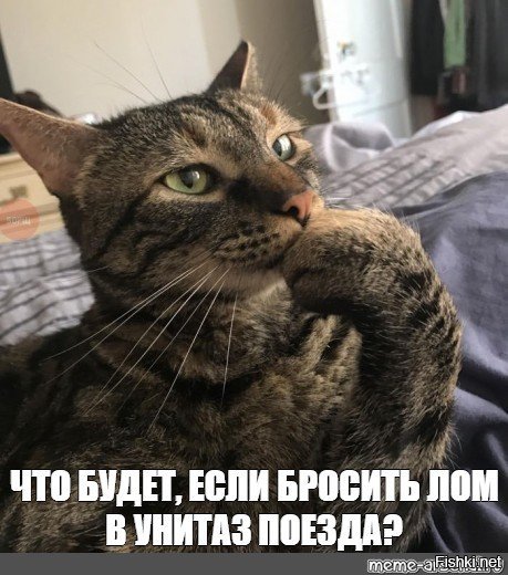 Где окажется вертолет, если зависнет в воздухе на полдня