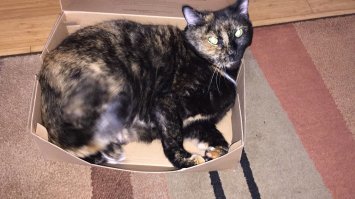 Моей было 16 . В прошлую пятницу её не стало .