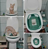 Либо такой