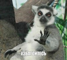 "Бесит!": пользователи сети поделились тем, что их больше всего раздражает в этой жизни