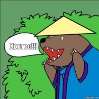 Заработала 250 000 рублей за месяц:  вся правда о работе хостес в Корее