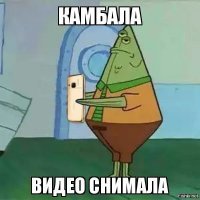Смерть с улыбкой: кобыла убила слишком настойчивого жеребца