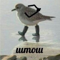 Скрины из социальных сетей