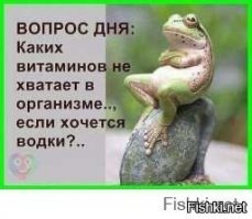 Алкопост на вечер этой пятницы