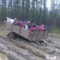 Нормальная дорога же, что вы?