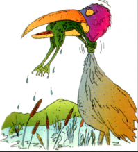 Японский рыбак выловил акулу, которая подавилась черепахой