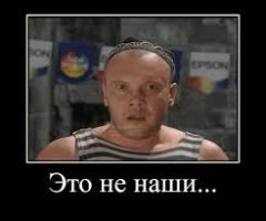 Подложили свинью: два канадца купили мини-пига, а вырастили 300-килограммовую хрюшку