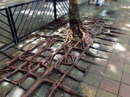 Забавные фотографии, демонстрирующие школьный абсурд во всей красе