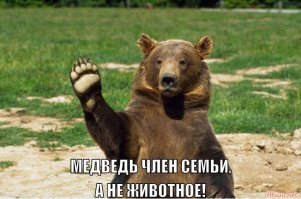 Прикольные и смешные картинки