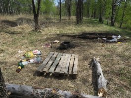 В апреле многие люди и работники ЖКХ и РЭУ старательно убирают мусор к майским праздникам, чтобы свиньи могли натешится всласть, изгадив всю природу в радиусе доступности своих ног и автомобилей. Природа, держись, стада свиней уже готовятся к своему пиршеству.