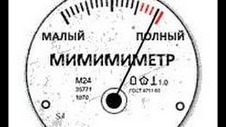Кошка воспитывает бельчат-сирот вместе с котятами (видео)