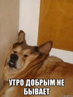 Прикольные и смешные картинки