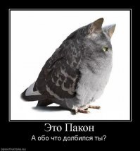 Вот и выросло поколение, которое не читало Луркмор.