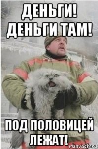 Прикольные и смешные картинки