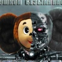 Прикольные и смешные картинки