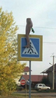 Тут мне кажется все понятно - если пешеходы переходя дорогу в капюшоне и наушниках не помрут под колесами, то им вставят бутылку в причинное место.