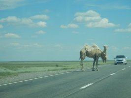 Природные, городские и индустриальные пейзажи Казахстана