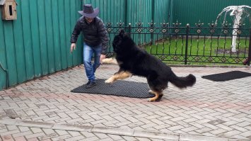 покажи как свое тело "аполон"? :)

Я вот так выгляжу к примеру в свои 40 :)